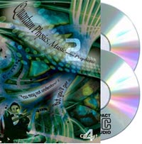 A Double Dose: Quantum Physics, Music, and the Prophetic 2